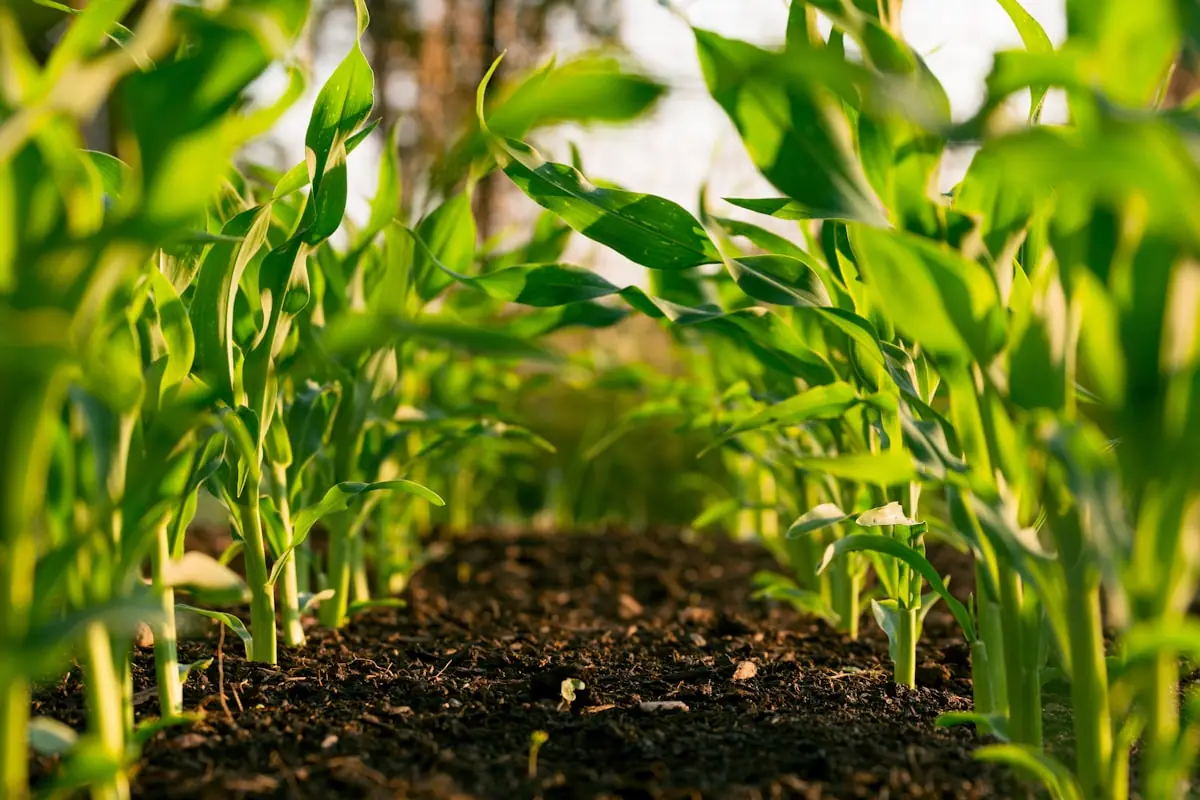 Agri-Intelligence Platform